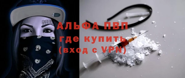 ECSTASY Богданович