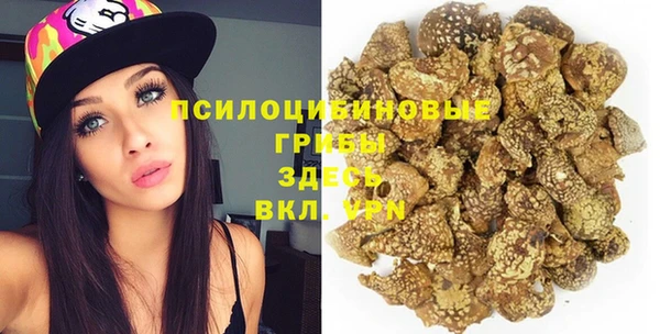 ECSTASY Богданович