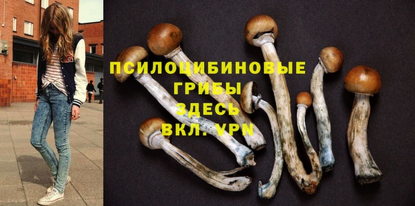 винт Богородск