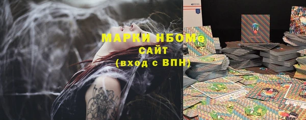 ECSTASY Богданович