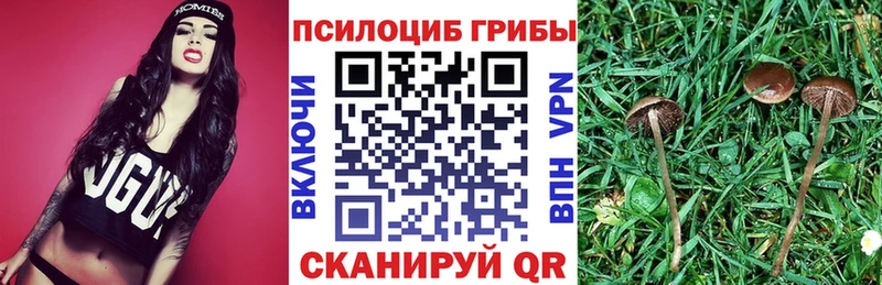 Псилоцибиновые грибы GOLDEN TEACHER  купить закладку  Дмитриев 